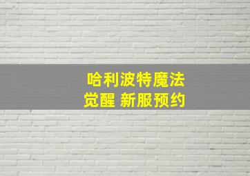 哈利波特魔法觉醒 新服预约